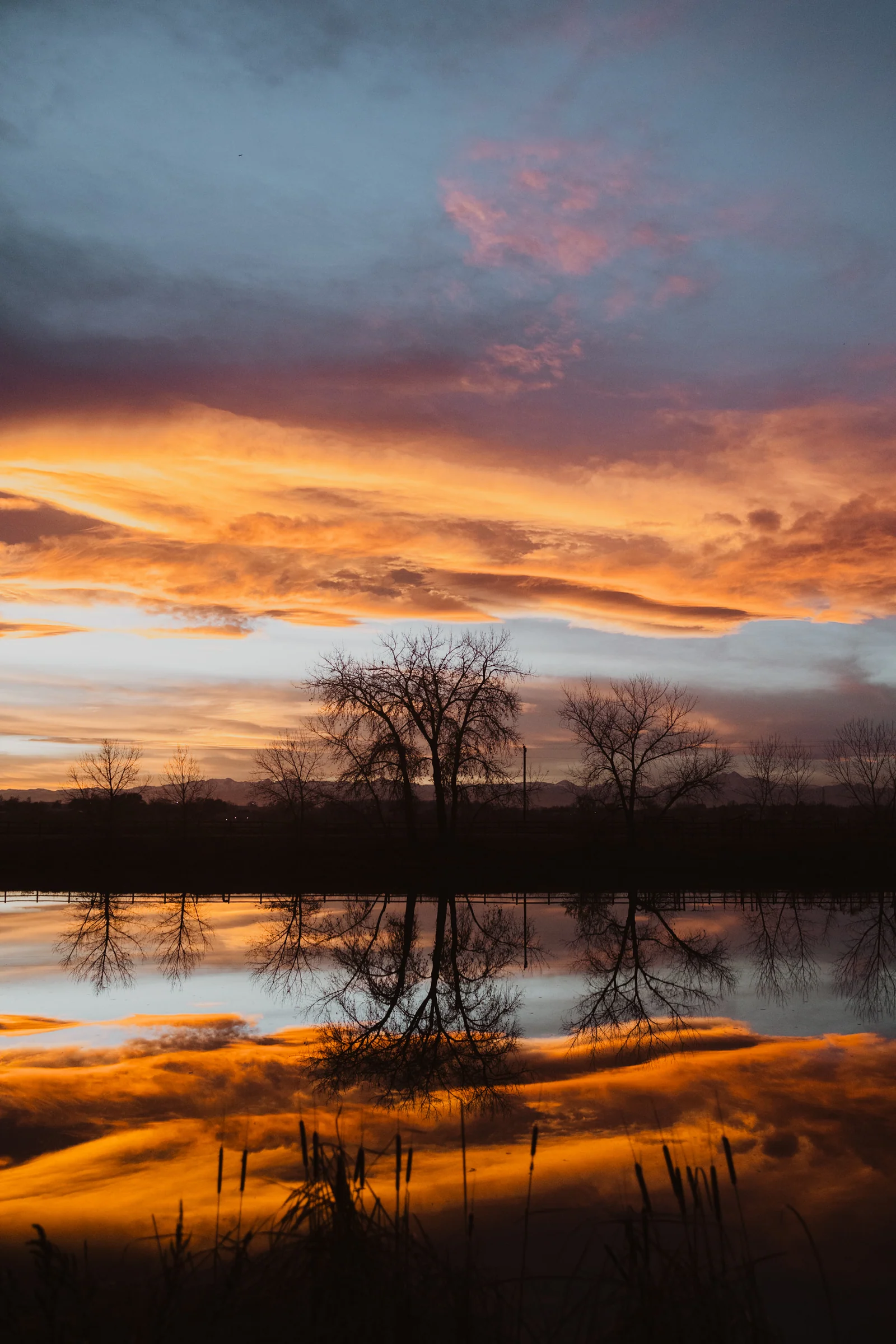Salt and Acres ACPHOTO_S_A_Nov22_Set3_--210